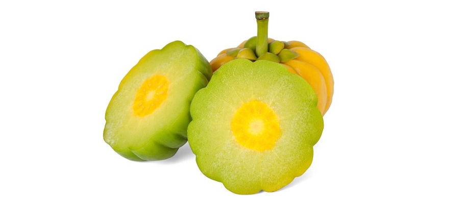 Garcinia cambogia